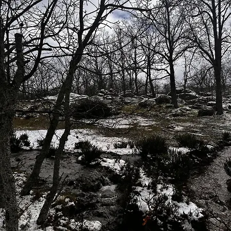 Apartment Mar De Nubes Iv Entre El Valle Del Jerte Y La Vera Piornal