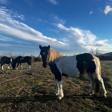 Apartment Mar De Nubes Iv Entre El Valle Del Jerte Y La Vera *