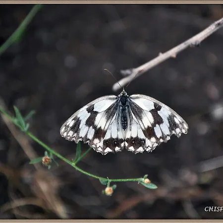Mar De Nubes Iv Entre El Valle Del Jerte Y La Vera Piornal