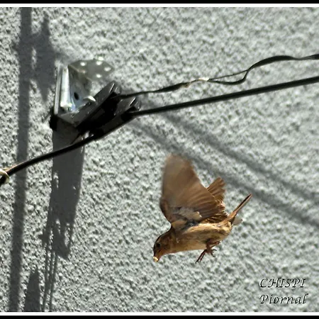 Apartment Mar De Nubes Iv Entre El Valle Del Jerte Y La Vera Piornal