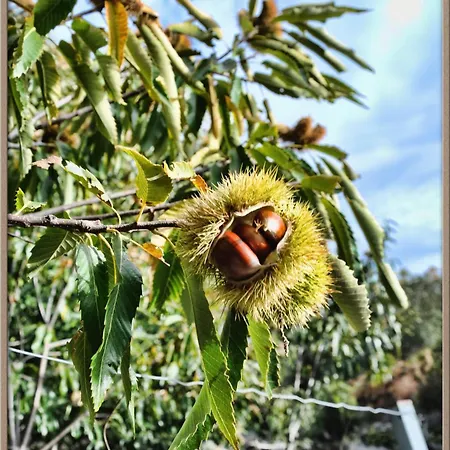 Apartment Mar De Nubes Iv Entre El Valle Del Jerte Y La Vera