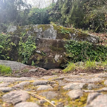 Apartment Mar De Nubes Iv Entre El Valle Del Jerte Y La Vera Piornal