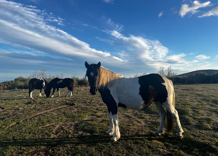 Апартаменты Mar De Nubes Iv Entre El Valle Del Jerte Y La Vera *