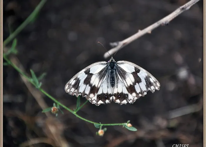 Mar De Nubes Iv Entre El Valle Del Jerte Y La Vera Piornal