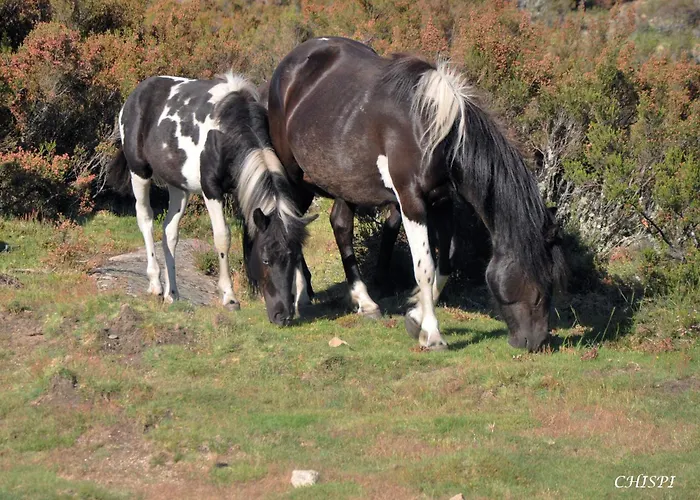 Mar De Nubes Iv Entre El Valle Del Jerte Y La Vera