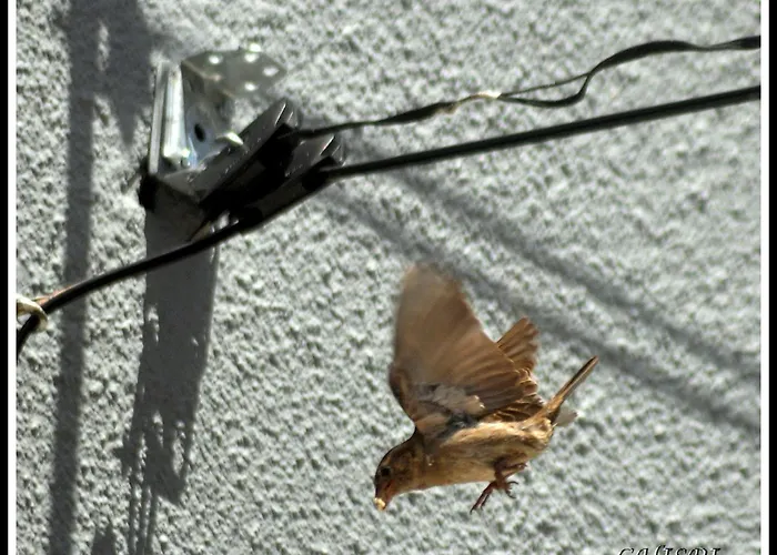 Appartamento Mar De Nubes Iv Entre El Valle Del Jerte Y La Vera Piornal