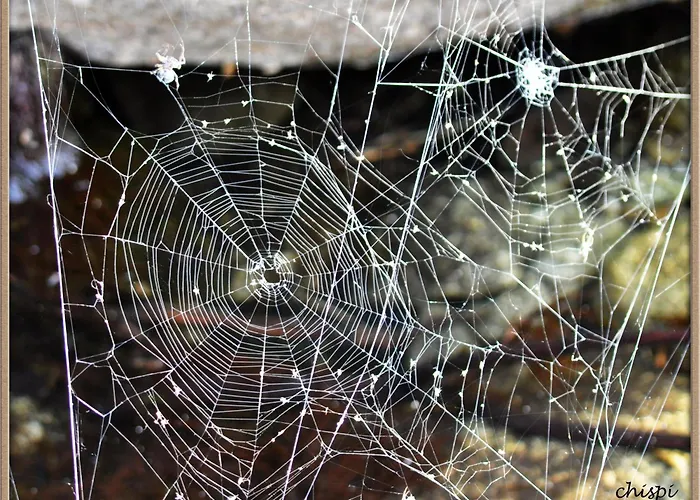 Mar De Nubes Iv Entre El Valle Del Jerte Y La Vera Appartamento