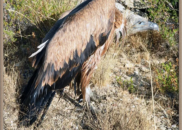 Mar De Nubes Iv Entre El Valle Del Jerte Y La Vera Apartment *