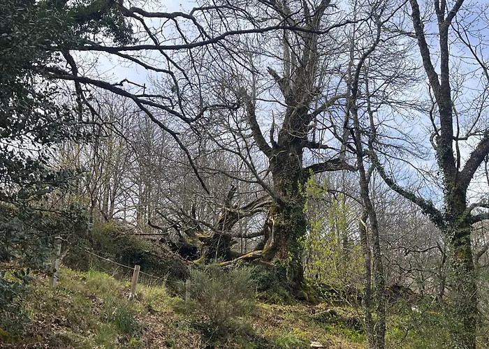 Mar De Nubes Iv Entre El Valle Del Jerte Y La Vera Appartamento