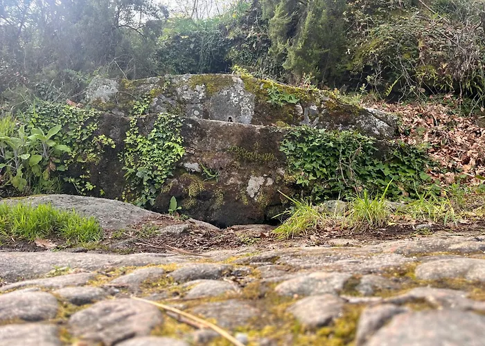 Апартаменты Mar De Nubes Iv Entre El Valle Del Jerte Y La Vera Piornal
